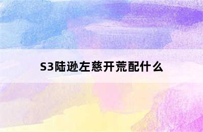 S3陆逊左慈开荒配什么