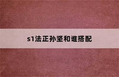 s1法正孙坚和谁搭配