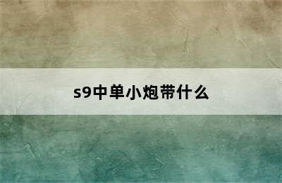 s9中单小炮带什么