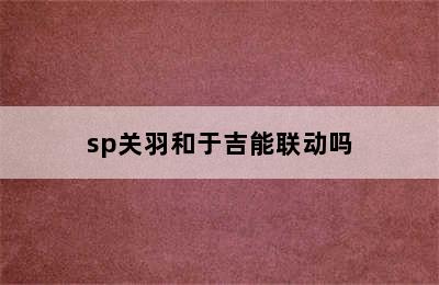 sp关羽和于吉能联动吗