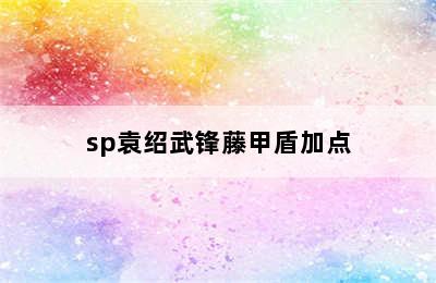 sp袁绍武锋藤甲盾加点