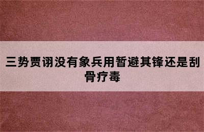 三势贾诩没有象兵用暂避其锋还是刮骨疗毒