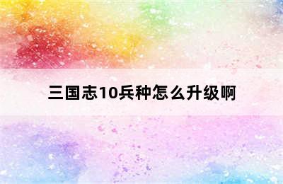 三国志10兵种怎么升级啊