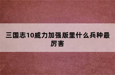 三国志10威力加强版里什么兵种最厉害