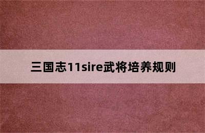 三国志11sire武将培养规则