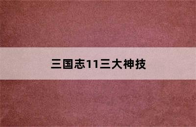 三国志11三大神技