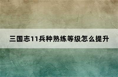 三国志11兵种熟练等级怎么提升