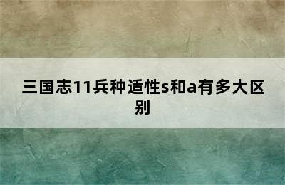 三国志11兵种适性s和a有多大区别