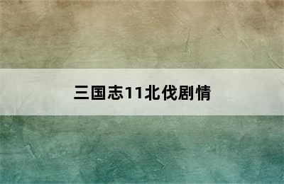 三国志11北伐剧情