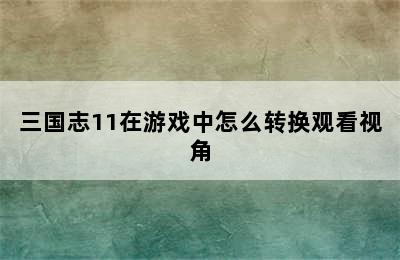 三国志11在游戏中怎么转换观看视角