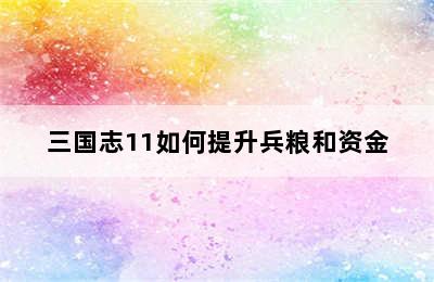 三国志11如何提升兵粮和资金