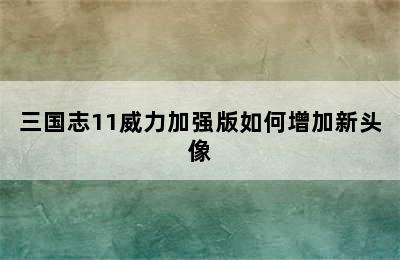 三国志11威力加强版如何增加新头像