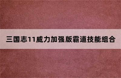 三国志11威力加强版霸道技能组合