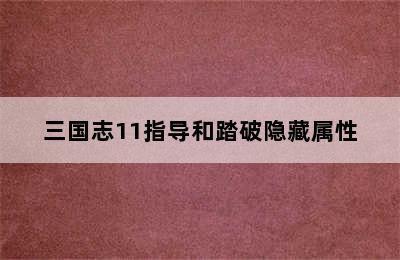 三国志11指导和踏破隐藏属性