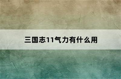 三国志11气力有什么用