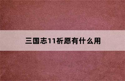 三国志11祈愿有什么用