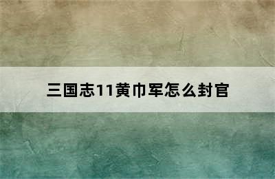 三国志11黄巾军怎么封官