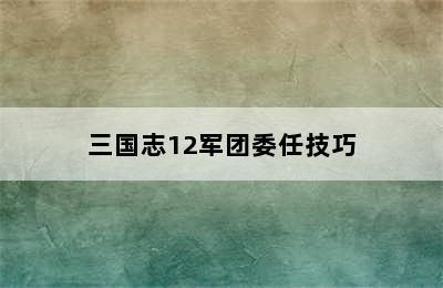 三国志12军团委任技巧