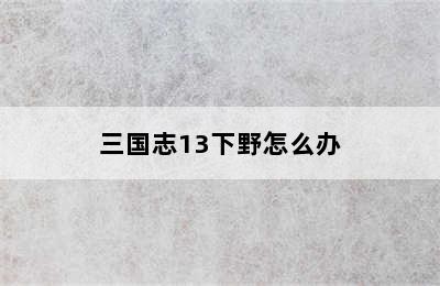 三国志13下野怎么办