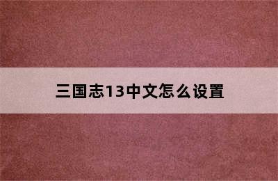 三国志13中文怎么设置