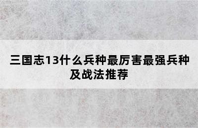 三国志13什么兵种最厉害最强兵种及战法推荐