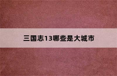 三国志13哪些是大城市