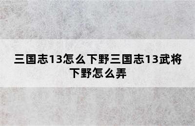 三国志13怎么下野三国志13武将下野怎么弄