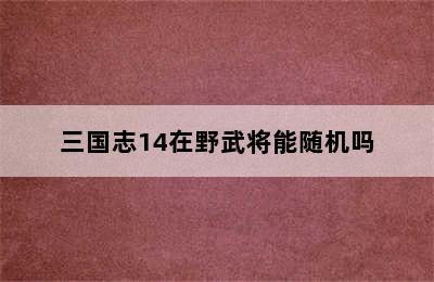 三国志14在野武将能随机吗