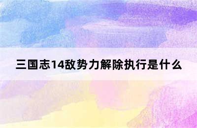 三国志14敌势力解除执行是什么