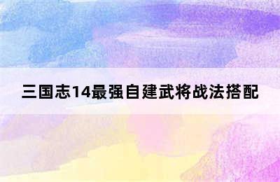 三国志14最强自建武将战法搭配