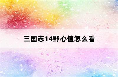 三国志14野心值怎么看