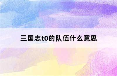 三国志t0的队伍什么意思