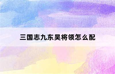 三国志九东吴将领怎么配