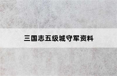 三国志五级城守军资料