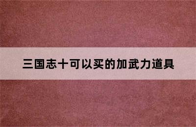 三国志十可以买的加武力道具