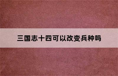 三国志十四可以改变兵种吗