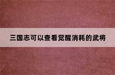 三国志可以查看觉醒消耗的武将