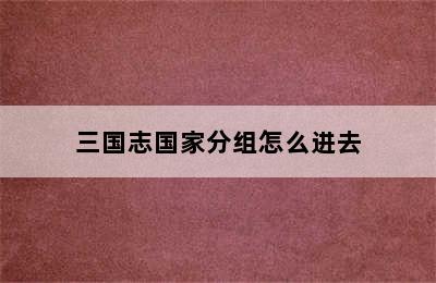 三国志国家分组怎么进去