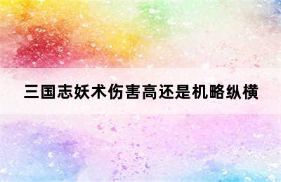 三国志妖术伤害高还是机略纵横