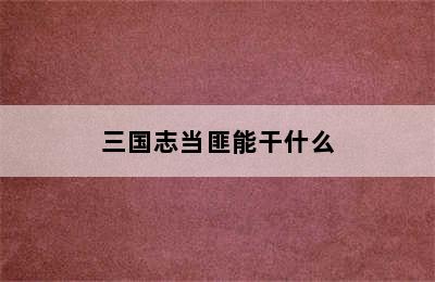 三国志当匪能干什么