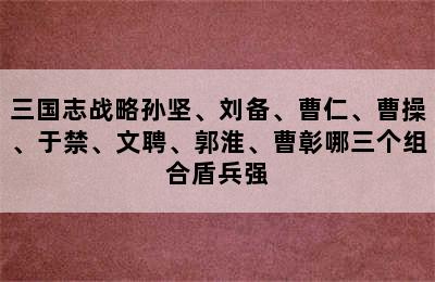 三国志战略孙坚、刘备、曹仁、曹操、于禁、文聘、郭淮、曹彰哪三个组合盾兵强