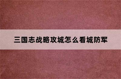 三国志战略攻城怎么看城防军