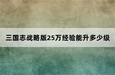 三国志战略版25万经验能升多少级