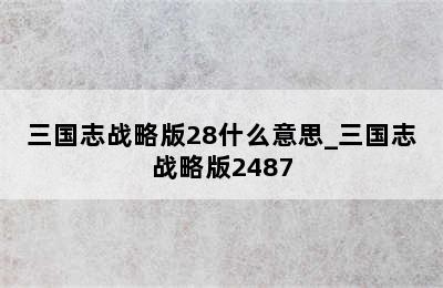 三国志战略版28什么意思_三国志战略版2487