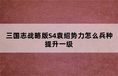 三国志战略版S4袁绍势力怎么兵种提升一级