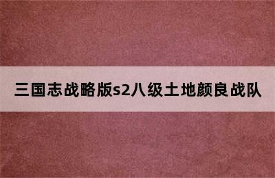 三国志战略版s2八级土地颜良战队