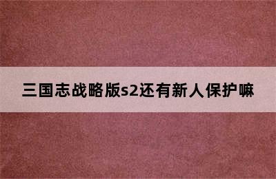 三国志战略版s2还有新人保护嘛