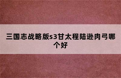 三国志战略版s3甘太程陆逊肉弓哪个好