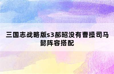 三国志战略版s3郝昭没有曹操司马懿阵容搭配