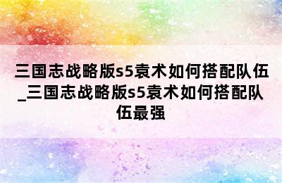 三国志战略版s5袁术如何搭配队伍_三国志战略版s5袁术如何搭配队伍最强